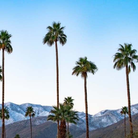 Meet your Posher, Susan - Picture 1 of 1